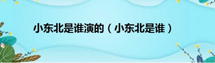 小东北是谁演的 小东北是谁