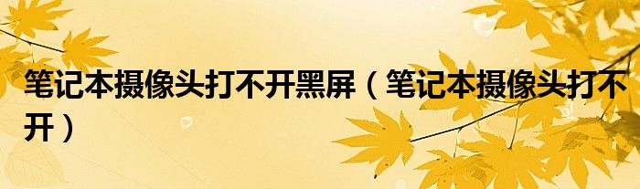 笔记本摄像头打不开黑屏 笔记本摄像头打不开