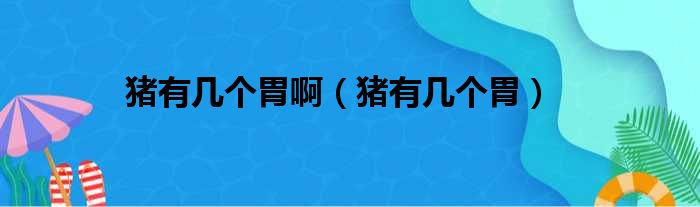 猪有几个胃啊 猪有几个胃