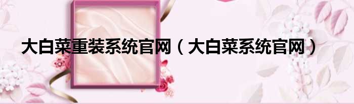 大白菜重装系统官网 大白菜系统官网