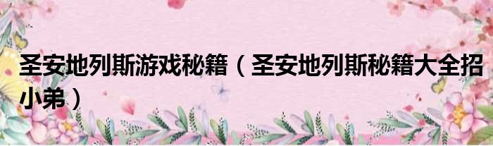 圣安地列斯游戏秘籍 圣安地列斯秘籍大全招小弟