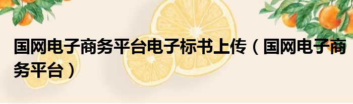 国网电子商务平台电子标书上传 国网电子商务平台