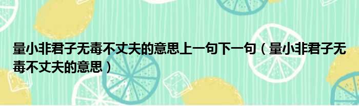 量小非君子无毒不丈夫的意思上一句下一句 量小非君子无毒不丈夫的意思