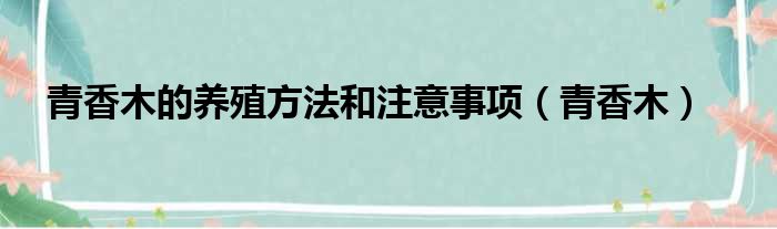 青香木的养殖方法和注意事项 青香木
