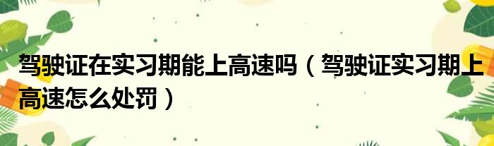 驾驶证在实习期能上高速吗 驾驶证实习期上高速怎么处罚