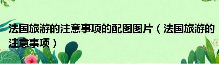 法国旅游的注意事项的配图图片 法国旅游的注意事项