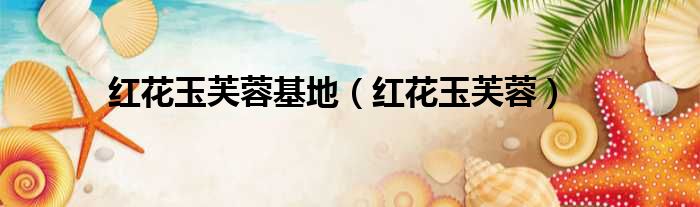 红花玉芙蓉基地 红花玉芙蓉