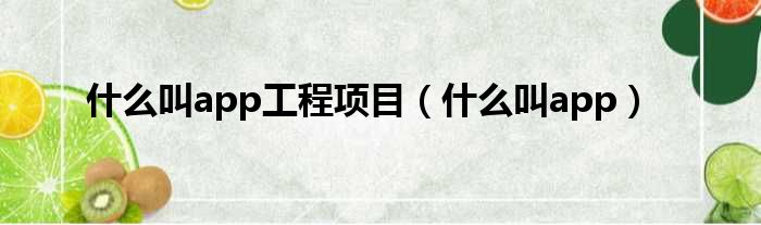 什么叫app工程项目 什么叫app