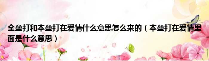 全垒打和本垒打在爱情什么意思怎么来的 本垒打在爱情里面是什么意思