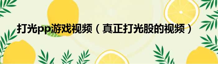 打光pp游戏视频 真正打光股的视频