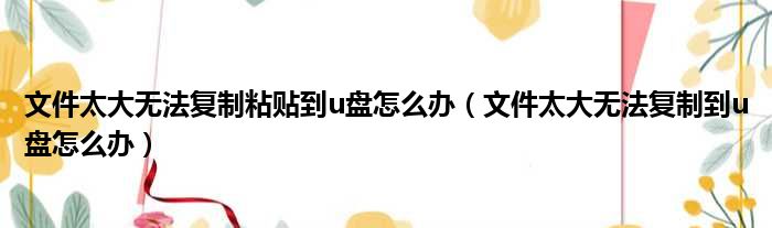 文件太大无法复制粘贴到u盘怎么办 文件太大无法复制到u盘怎么办