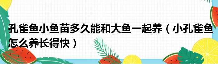 孔雀鱼小鱼苗多久能和大鱼一起养 小孔雀鱼怎么养长得快
