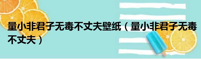 量小非君子无毒不丈夫壁纸 量小非君子无毒不丈夫