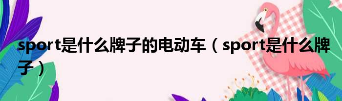 sport是什么牌子的电动车 sport是什么牌子
