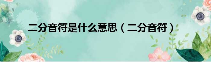 二分音符是什么意思 二分音符