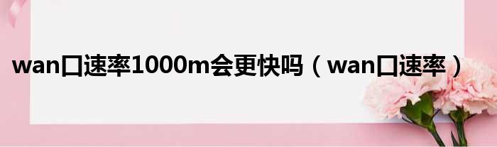 wan口速率1000m会更快吗 wan口速率