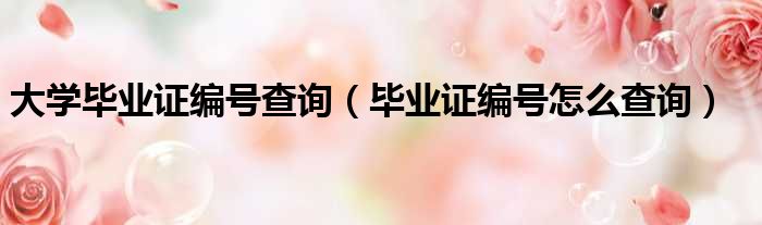 大学毕业证编号查询 毕业证编号怎么查询