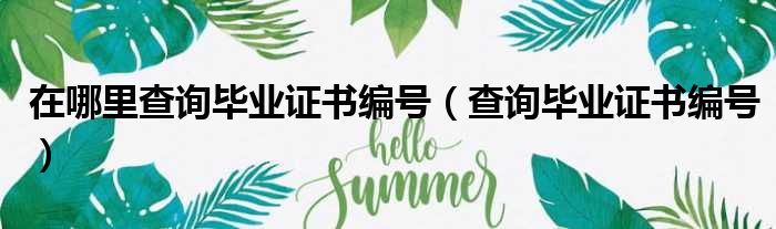 在哪里查询毕业证书编号 查询毕业证书编号