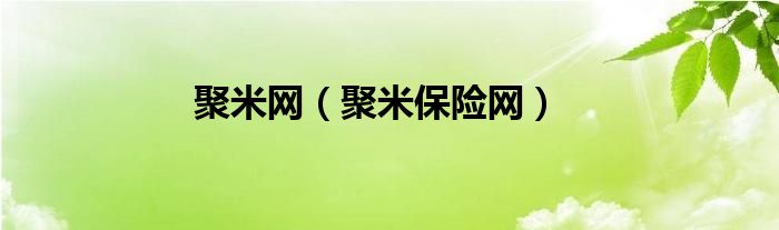 聚米网 聚米保险网