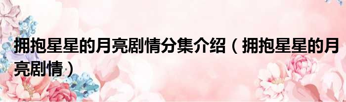 拥抱星星的月亮剧情分集介绍 拥抱星星的月亮剧情