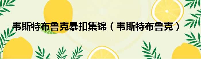 韦斯特布鲁克暴扣集锦 韦斯特布鲁克
