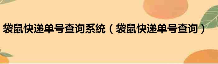 袋鼠快递单号查询系统 袋鼠快递单号查询