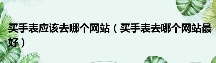 买手表应该去哪个网站 买手表去哪个网站最好