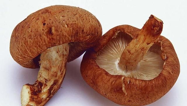 冬至吃饺子外配点什么小菜图1