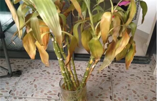 微信图片_20230227164000 微信图片_20230227164000