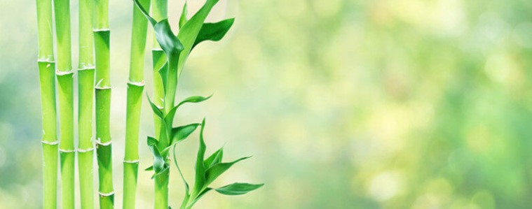 7277d39b21f116a 7277d39b21f116a