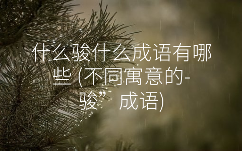 什么骏什么成语有哪些 (不同寓意的-骏”成语)