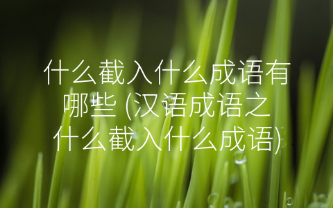 什么截入什么成语有哪些 (汉语成语之什么截入什么成语)