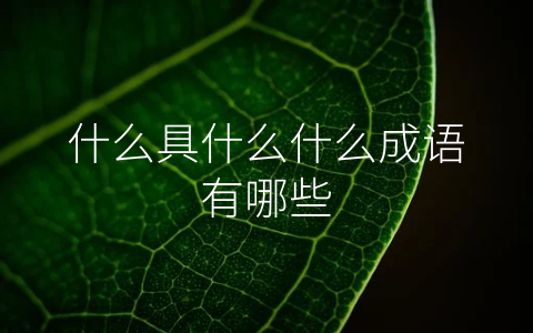 什么具什么什么成语有哪些
