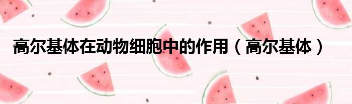 高尔基体在动物细胞中的作用 高尔基体