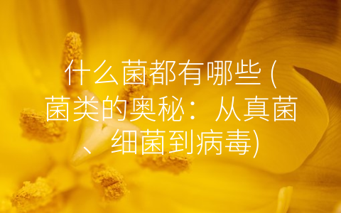 什么菌都有哪些 (菌类的奥秘：从真菌、细菌到病毒)