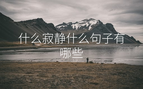 什么寂静什么句子有哪些