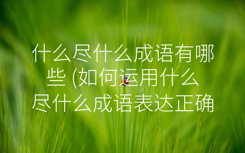 什么尽什么成语有哪些 (如何运用什么尽什么成语表达正确的态度？)