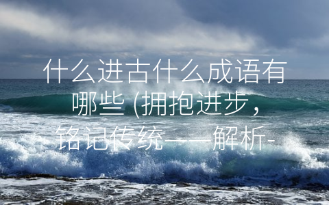 什么进古什么成语有哪些 (拥抱进步，铭记传统——解析-什么进古什么”成语)