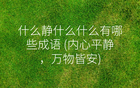 什么静什么什么有哪些成语 (内心平静，万物皆安)