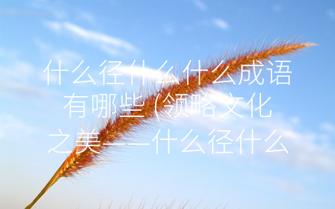 什么径什么什么成语有哪些 (领略文化之美——什么径什么什么成语的文化内涵)