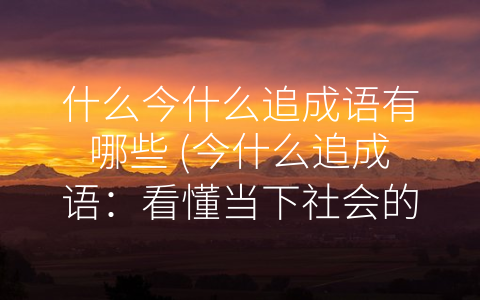 什么今什么追成语有哪些 (今什么追成语：看懂当下社会的变化)