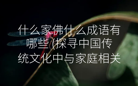 什么家佛什么成语有哪些 探寻中国传统文化中与家庭相关的成语及其现状