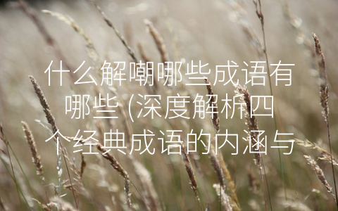 什么解嘲哪些成语有哪些 深度解析四个经典成语的内涵与使用方法