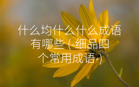 什么均什么什么成语有哪些  细品四个常用成语