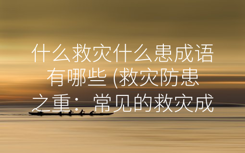 什么救灾什么患成语有哪些 (救灾防患之重：常见的救灾成语及其应用)