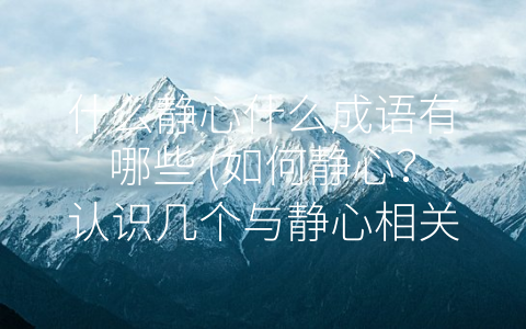什么静心什么成语有哪些 (如何静心？认识几个与静心相关的成语。)