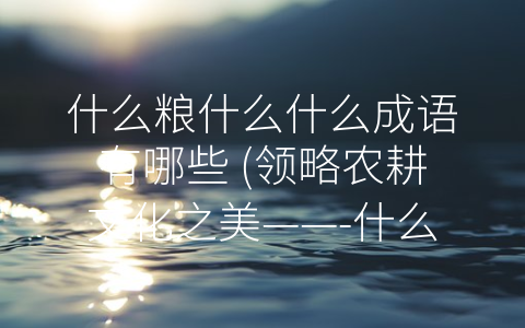 什么粮什么什么成语有哪些 (领略农耕文化之美——-什么粮什么什么”相关成语解析)