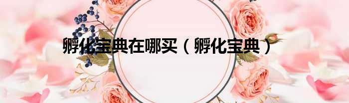 孵化宝典在哪买 孵化宝典