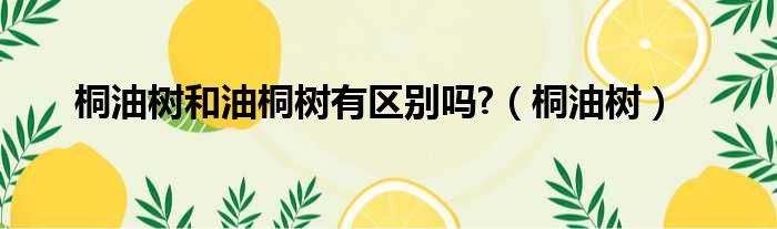 桐油树和油桐树有区别吗  桐油树