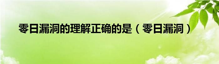 零日漏洞的理解正确的是 零日漏洞